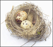 quailridge townhome newsletters